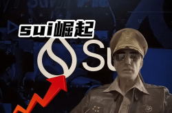 Sui：独特的公链，清晰的方向