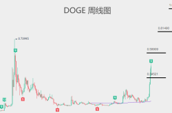 币圈巨震：老币崛起与Doge的狂飙